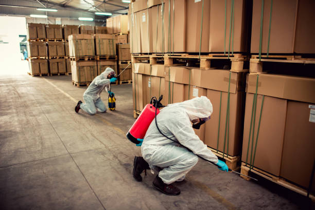 Best Termite Control Services  in Concordia, MO