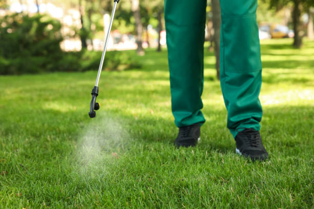 Best Best Pest Control Companies  in Concordia, MO