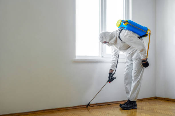Best Pest Removal Services  in Concordia, MO